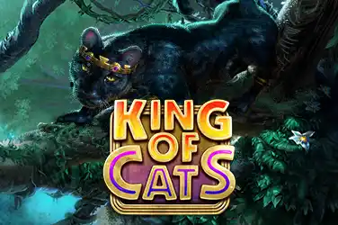 King of Cats